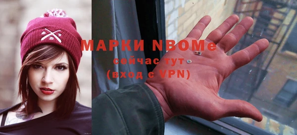 СК Алексин